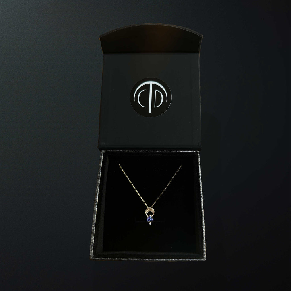 Above and Below tanzanite and 14k gold necklace in Camille Torres Designs gift box